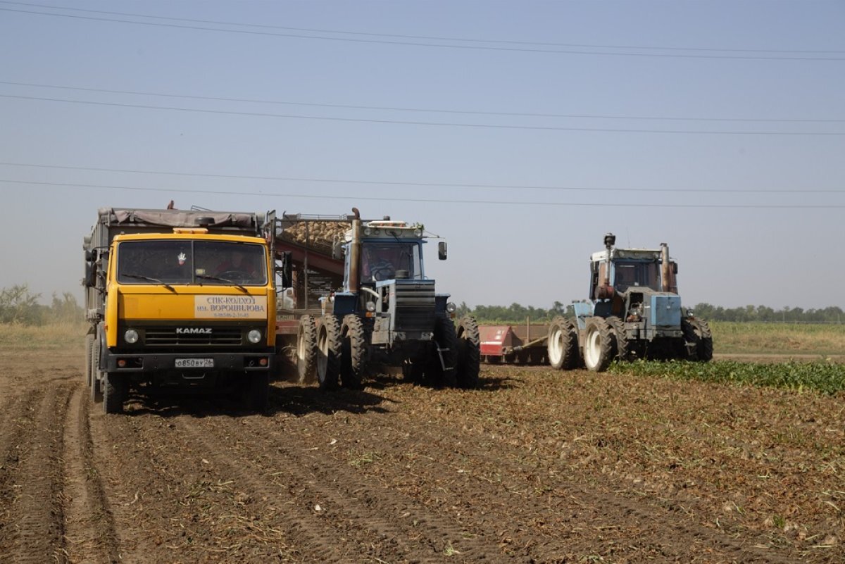    Как бы трудно ни было сельхозпроизводителям при нынешнем диспаритете цен, в СПК "Колхозе имени Ворошилова" успешно убрали урожай и заложили в землю следующий.