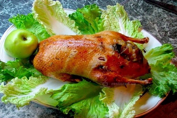 Фото из открытого источника 