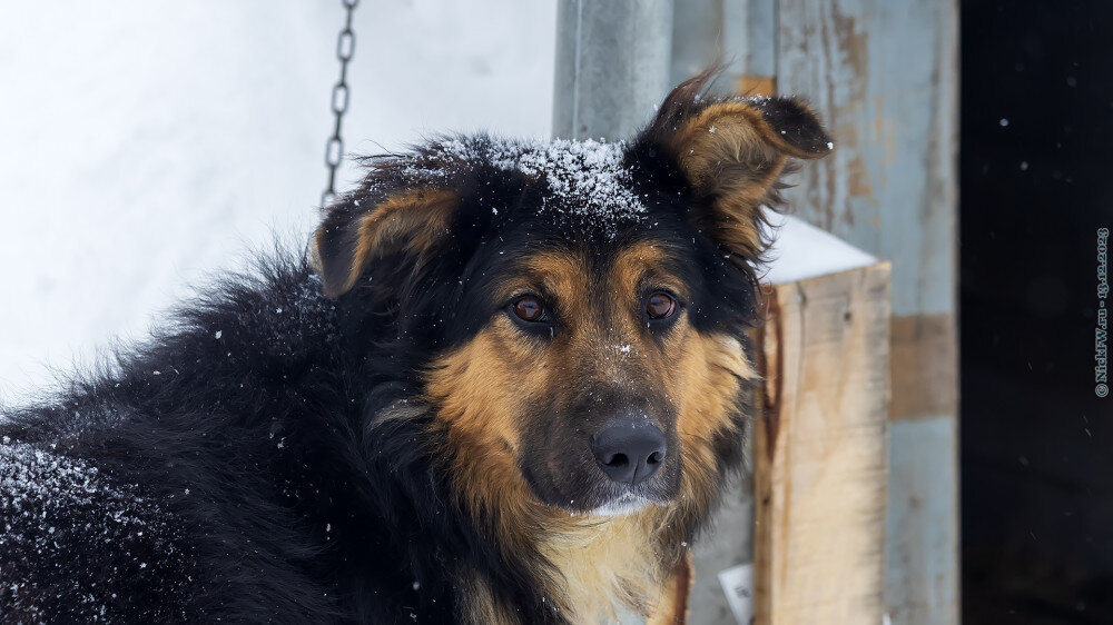 2. Малыш... © NickFW.ru — 13.12.2023г.