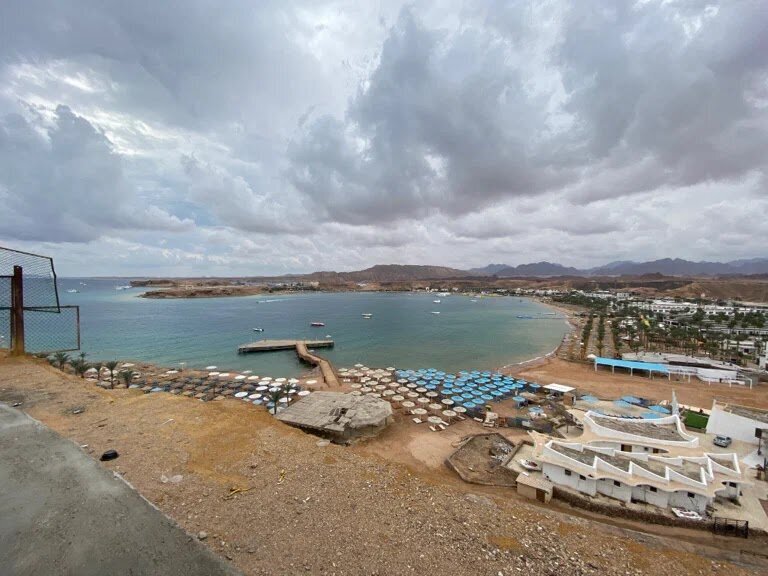 В бухте Шарм-эль-Майя есть несколько пляжей со всей инфраструктурой. Источник: Яндекс Карты (Антон Т.)