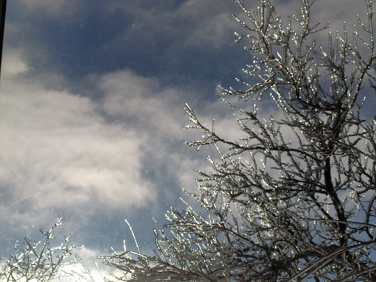 красивая головная боль