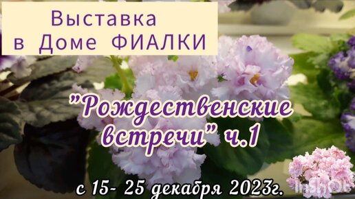 Часть 1. Выставка с 15 по 25 декабря 2023г. в Доме ФИАЛКИ 