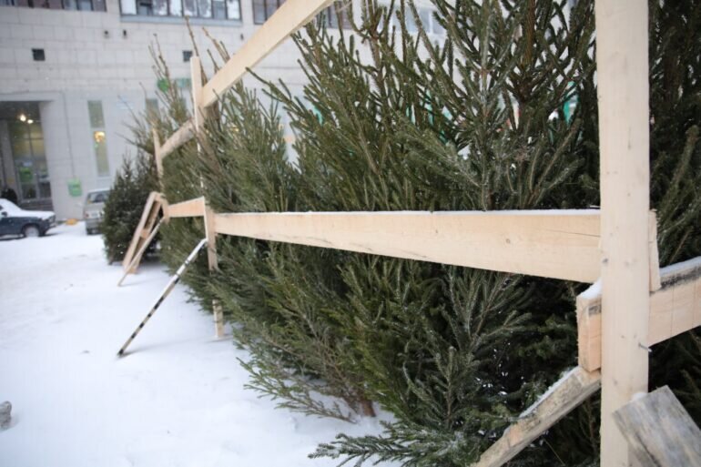    Фото: Мойка78/Николай Овсянников