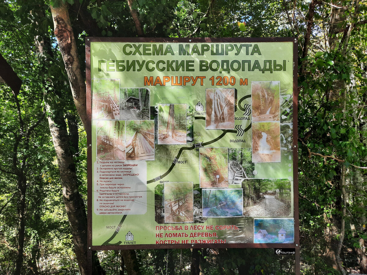 Гебиусские водопады: волшебный лес и 3 величественных водопада. | Каштанка  /World and travel🌍 | Дзен