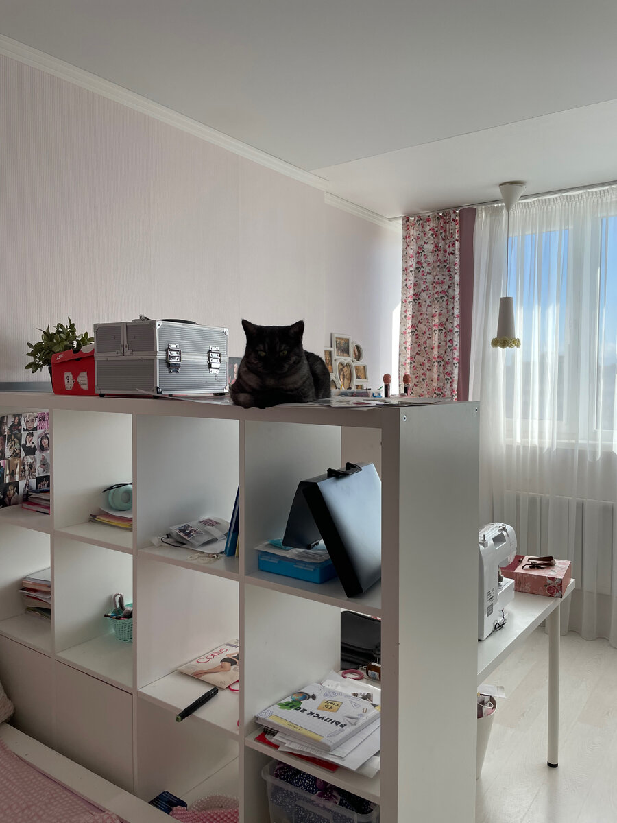 Фото из серии «Найди кота»