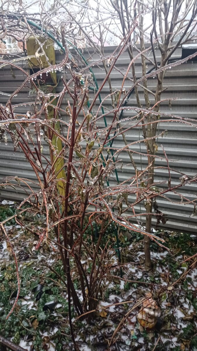 Ледяной дождь в Ростове-на-Дону