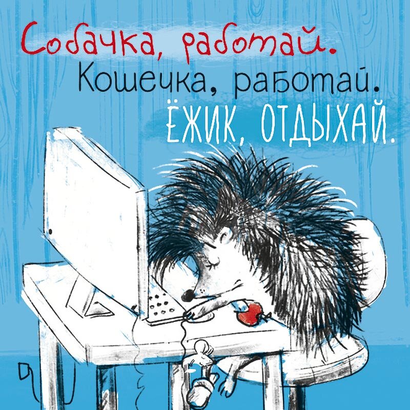 Скучающий Ежик. Открытки с Ёжиками прикольные. Еж выздоравливай. Ежик на работе. Пора заботящийся