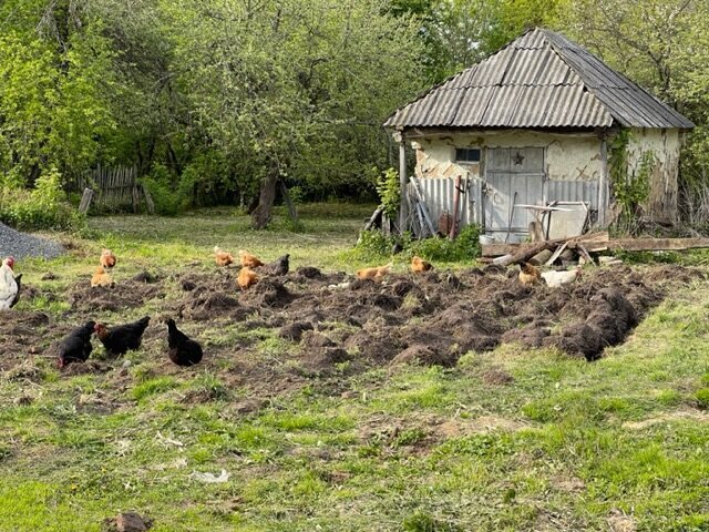 ГДЕ ЖЕ ТУТ НЕ СЛОМАТЬ ПЛУГ