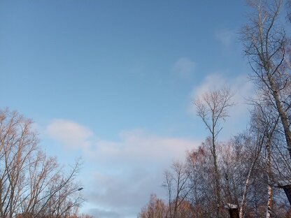 Фотография из личного архива автора