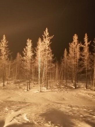 Фотография из личного архива автора