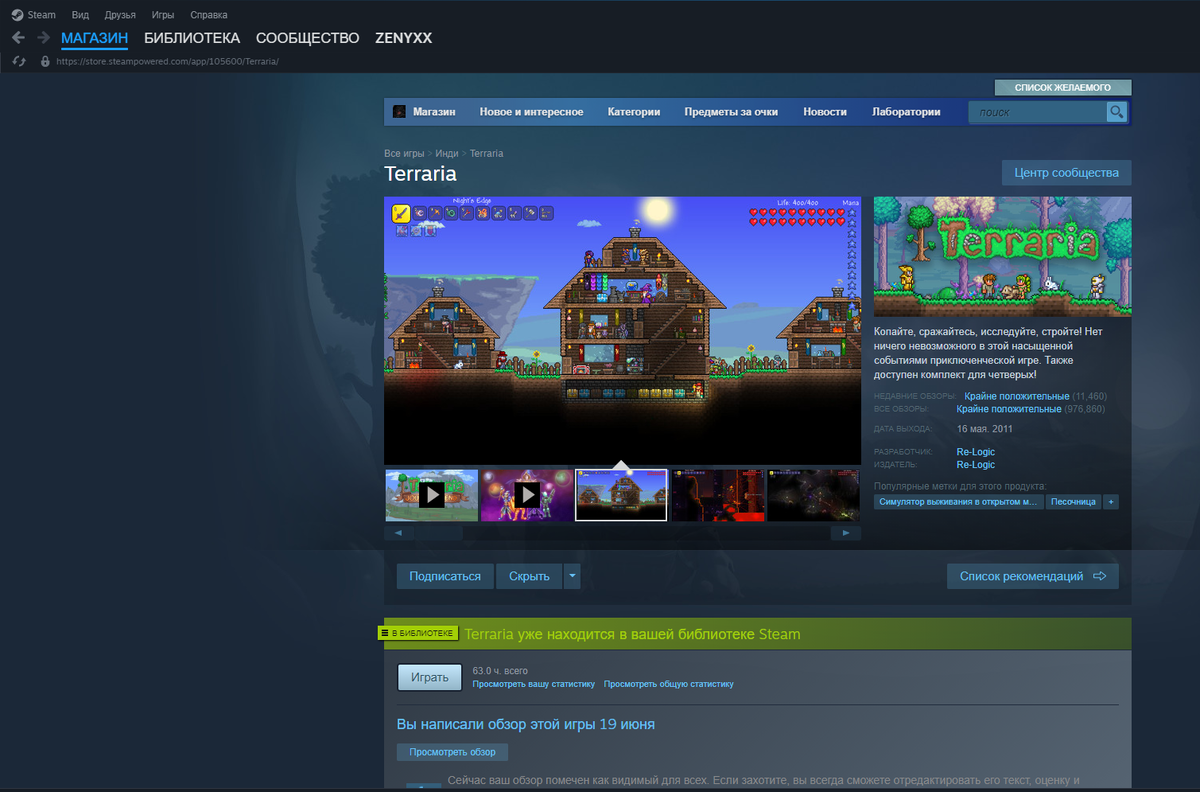 Вот так выглядит главная страница игры в Steam