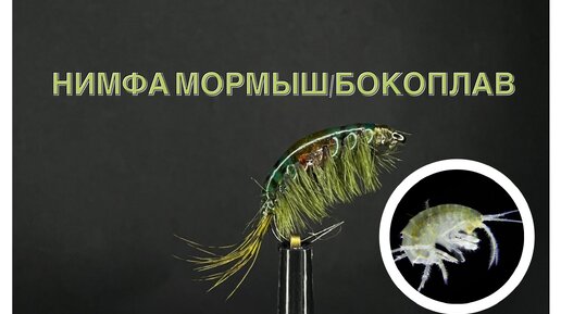 Грузовая мушка 