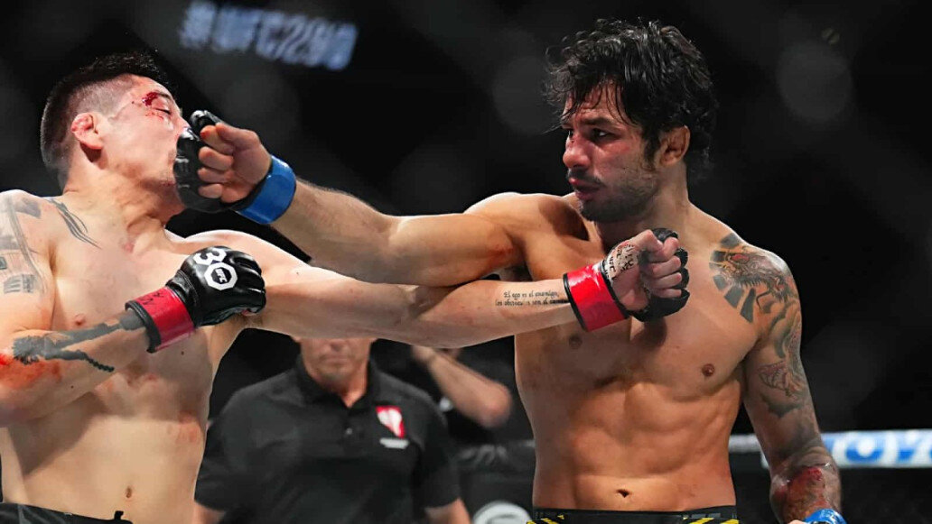 Мексиканские бойцы UFC