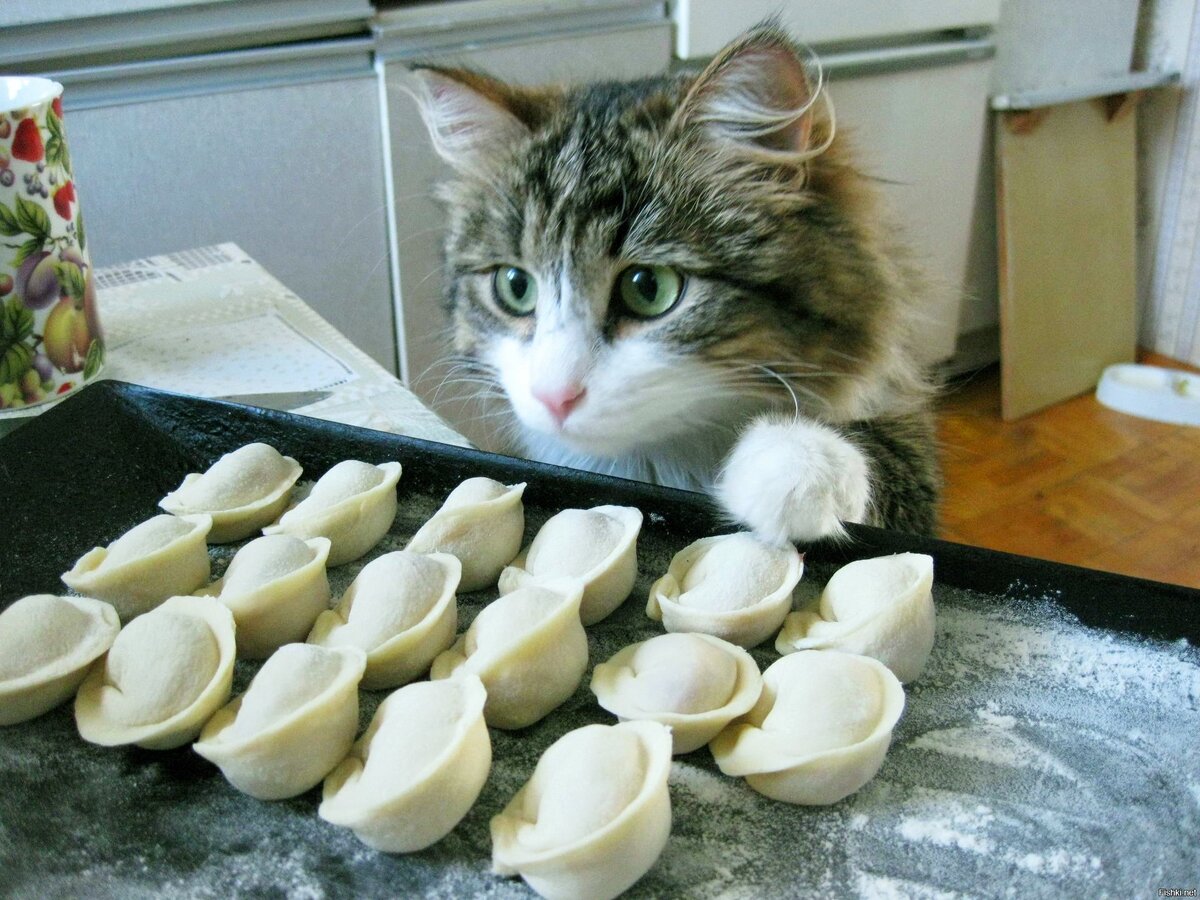 Яндекс картинки