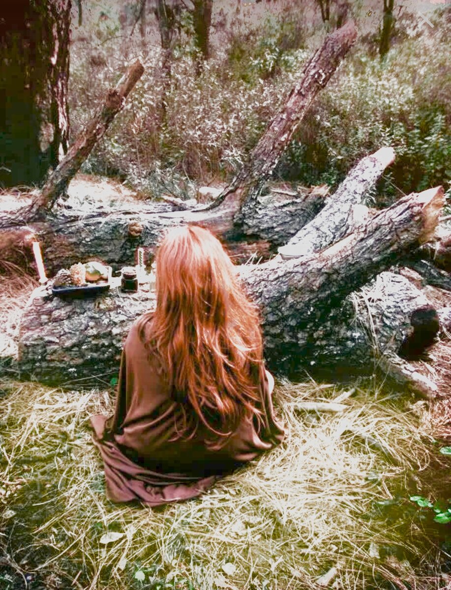 Фотография взята из открытого источника