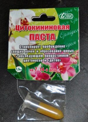 Фото интернет 