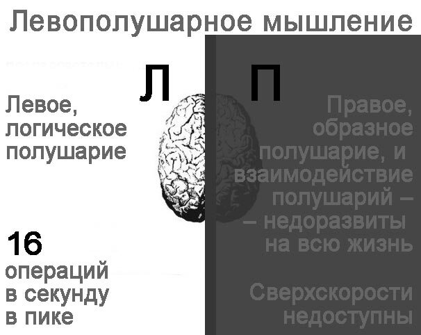 Представьте себе мозг с невозможностью  оперировать скоростями правого полушария. Как говорится, Ум без Разума -  калека. Источник - наш сайт http://www.artificialreefs.ru/russkij-yazyk-budushchego/index.html 