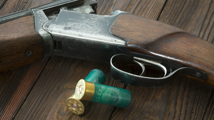 ФОТО: NIKOLAY GYNGAZOV/GLOBALLOOKPRESS