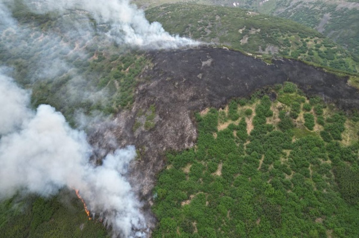    Правительство РФ компенсирует Камчатке затраты на тушение лесных пожаров