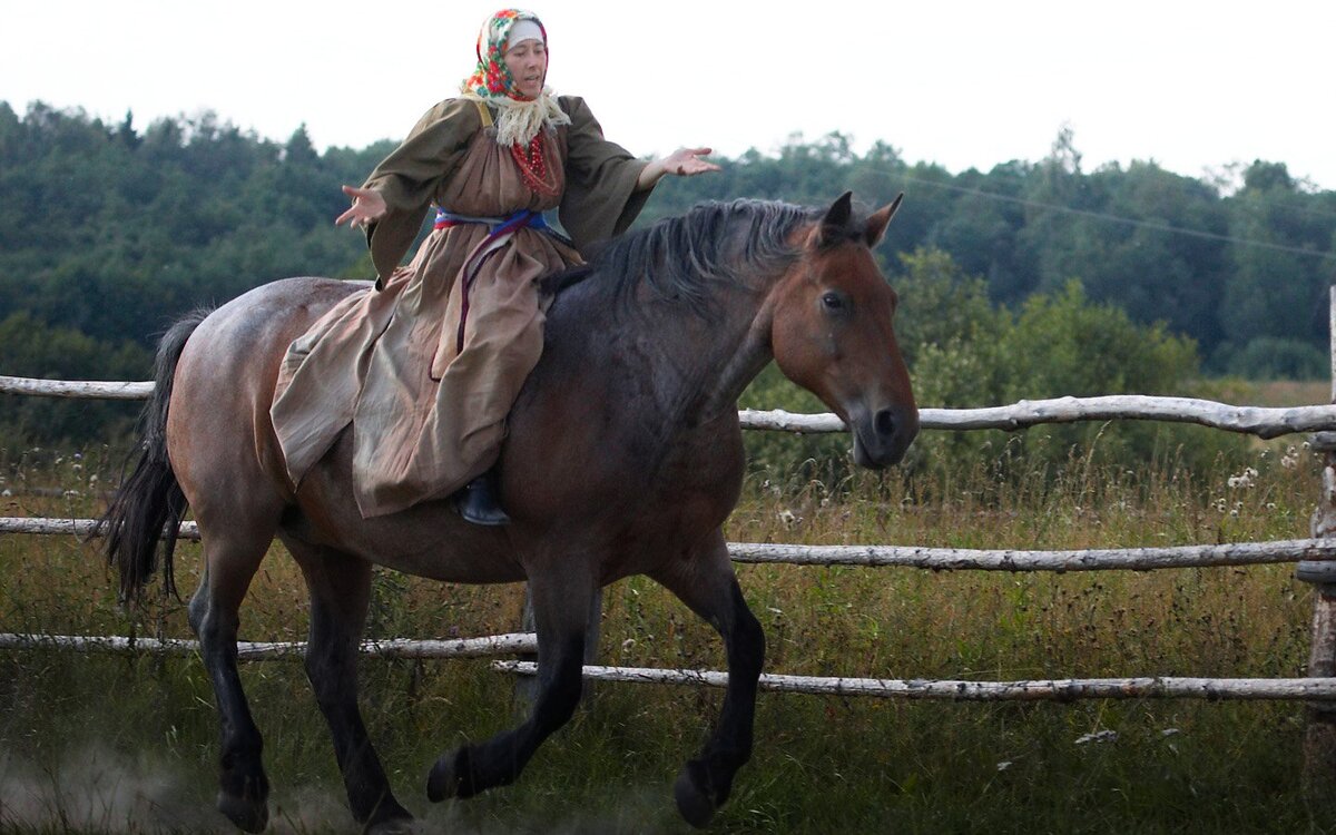 Всадник на лошади на прогулке