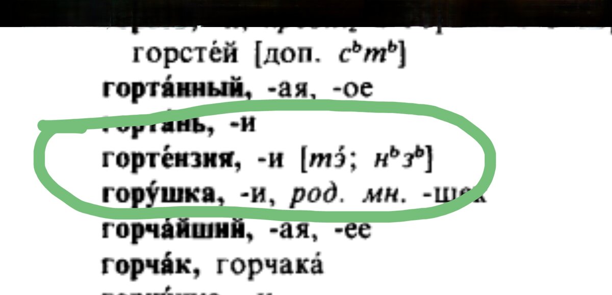 Говорить правильно: какие слова и фразы выдают неуча - Отношения - вороковский.рф