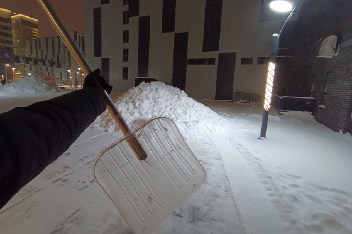    В 2023 году улицы России остались без дворников.