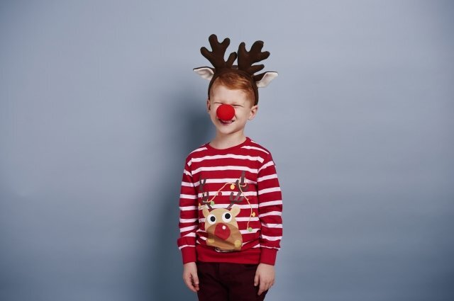    Как сделать костюм на Новый год своими руками?