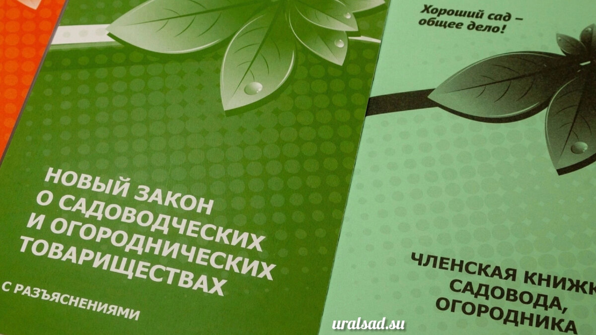 Садовод подал заявление о выходе из членов СНТ и передумал — что делать? |  Дачные вести | Дзен