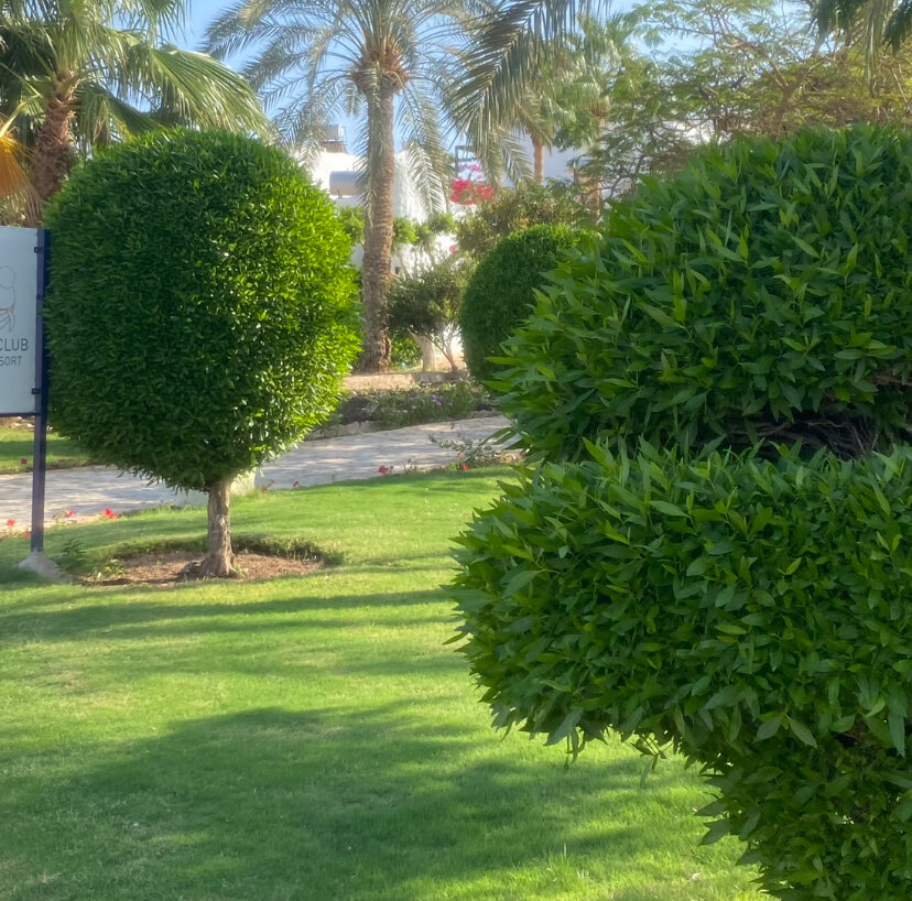 Египет Хургада 4 звезды