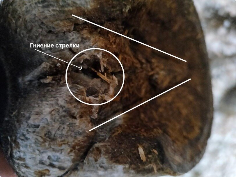 Больная стрелка.