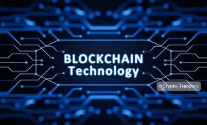 Валидатор кто такой?