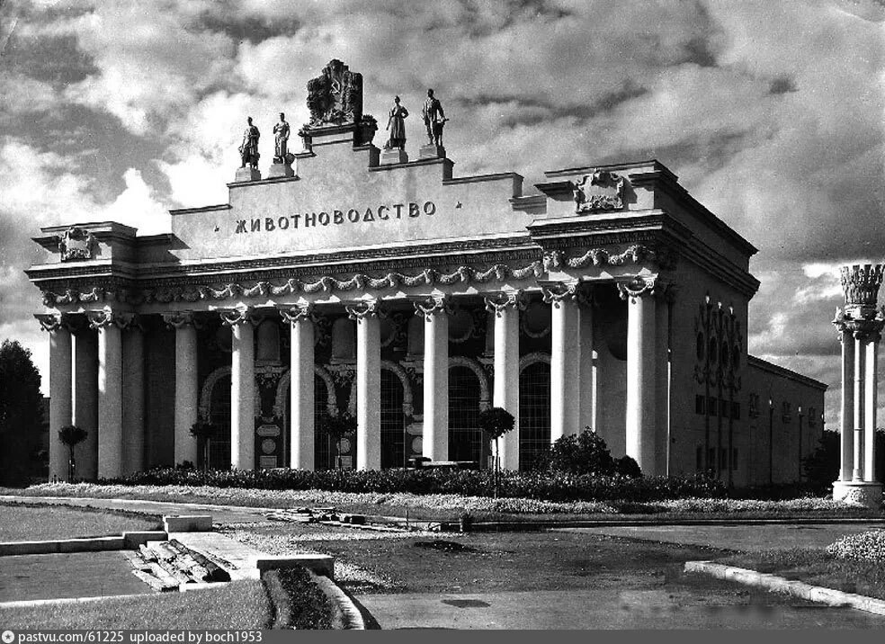 Павильон животноводство на вднх. Павильон животноводство на вднх. Вднх павильон животноводство 1986. Манеж на всхв 1939. Павильон животноводство на всхв.