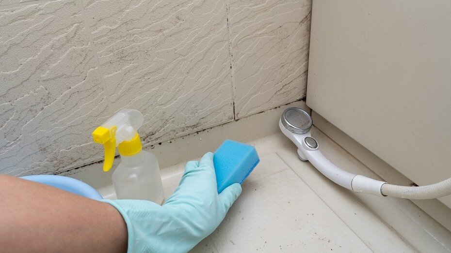 ShutterStock/Fotodom.ru