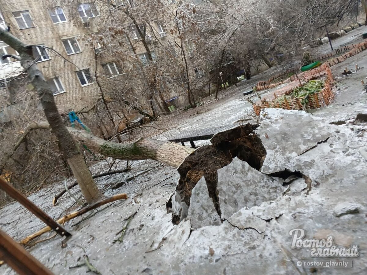 Шаман в ростове. Гололед в Ростове. Гололед в Ростове на растениях. Гололед в Ростовской области.