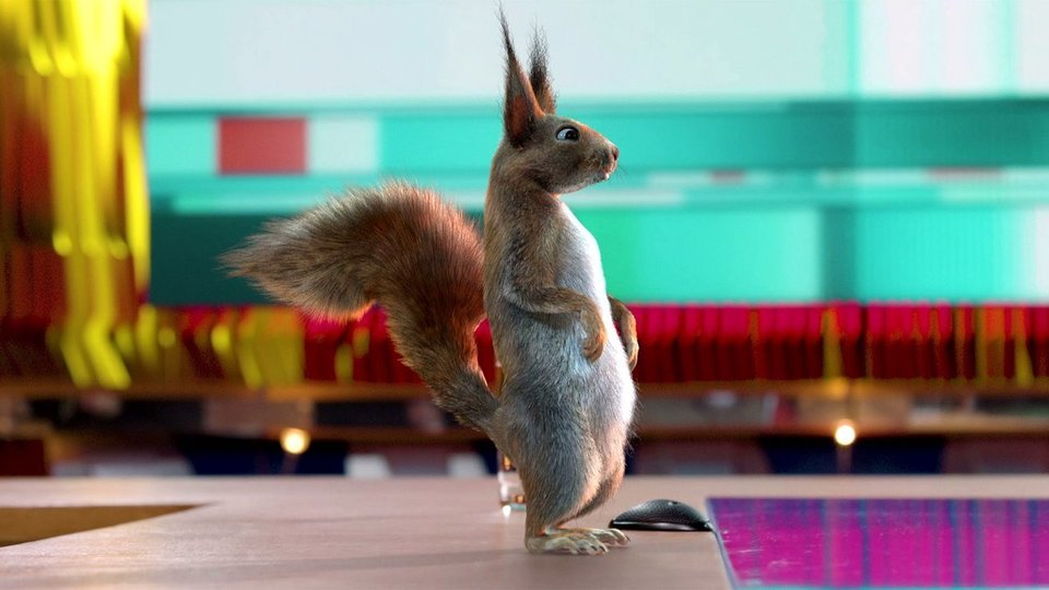 белки первый канал. белки с первого канала. белки с рекламы первого канала. белка на окно. белочки на первом канале.