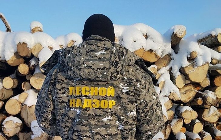    Для привлечения новых специалистов в лесничества Ярославской области зарплату повышают на 30 процентов