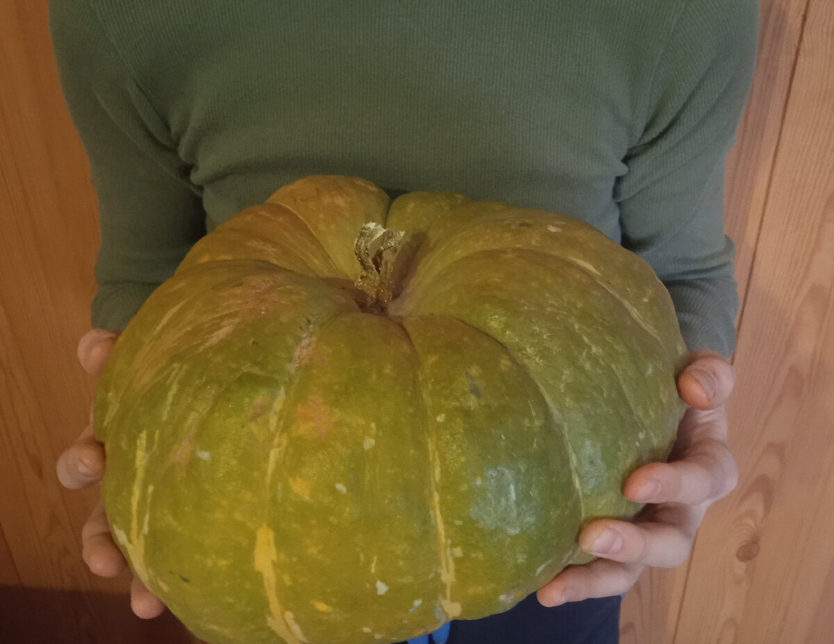 Та самая тыква, которую отказалась пробовать мама:)