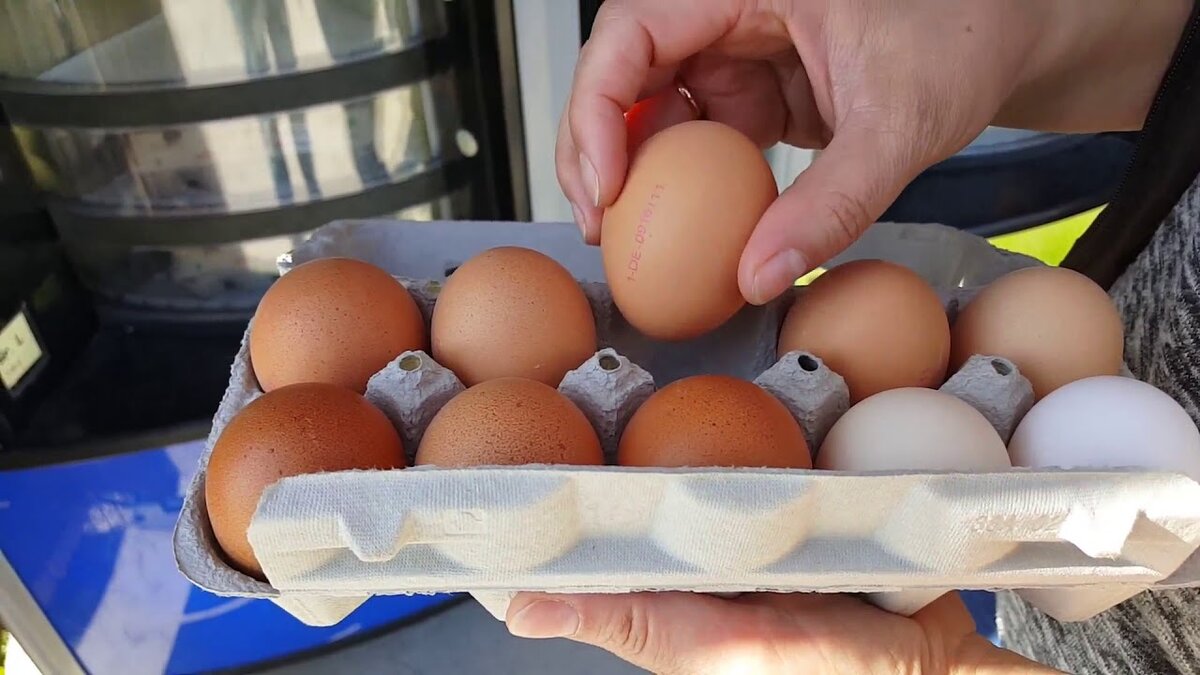 Рост цен на яйцо куриное. Яйца покупные. Лоток для яиц. Яйца из магазина. Покупка яиц