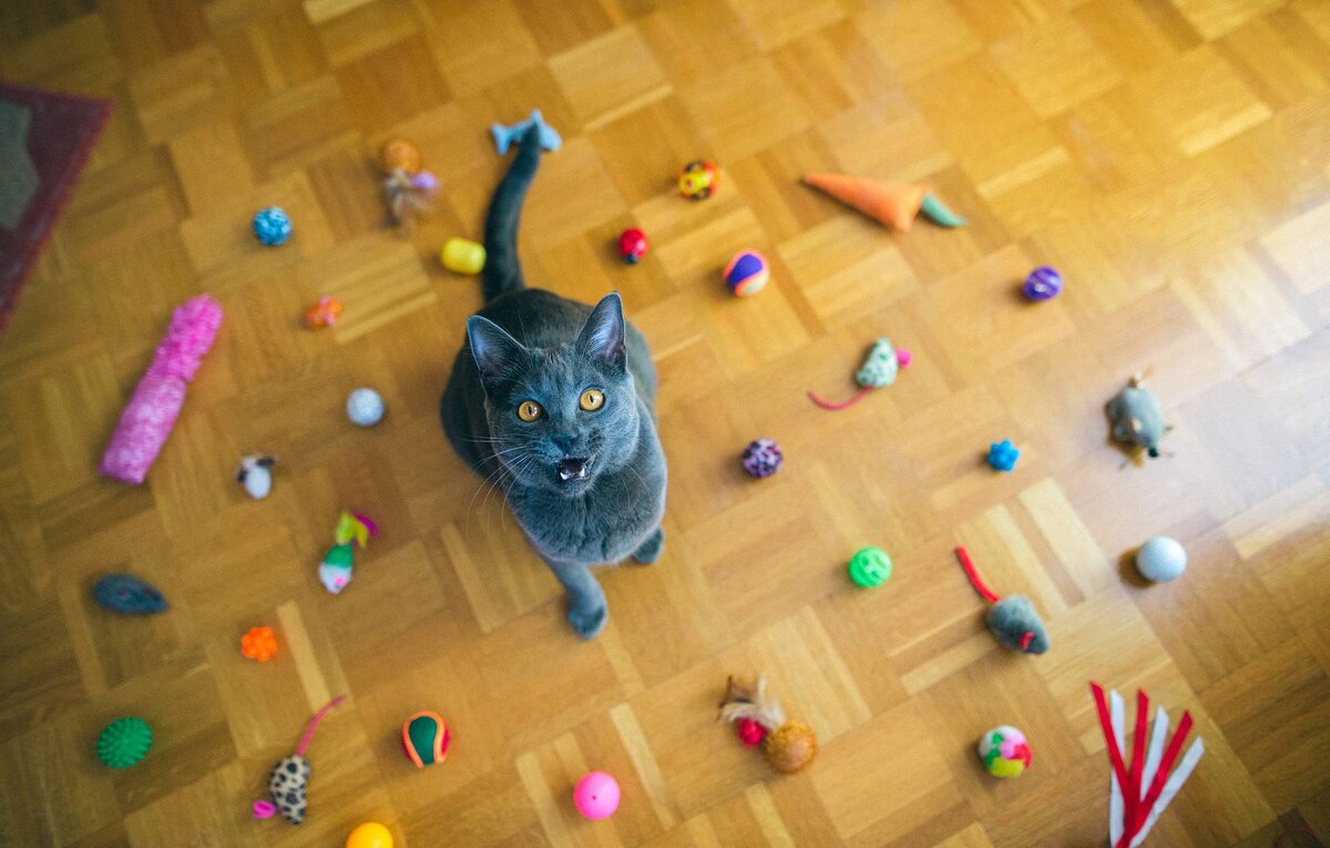 Источник: Интернет