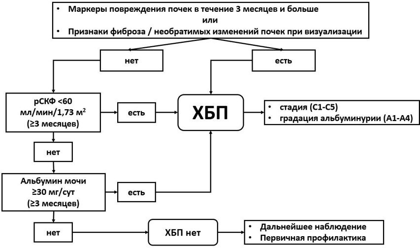 Алгоритм первичной диагностики ХБП. Источник: https://cr.minzdrav.gov.ru/schema/469_2 
