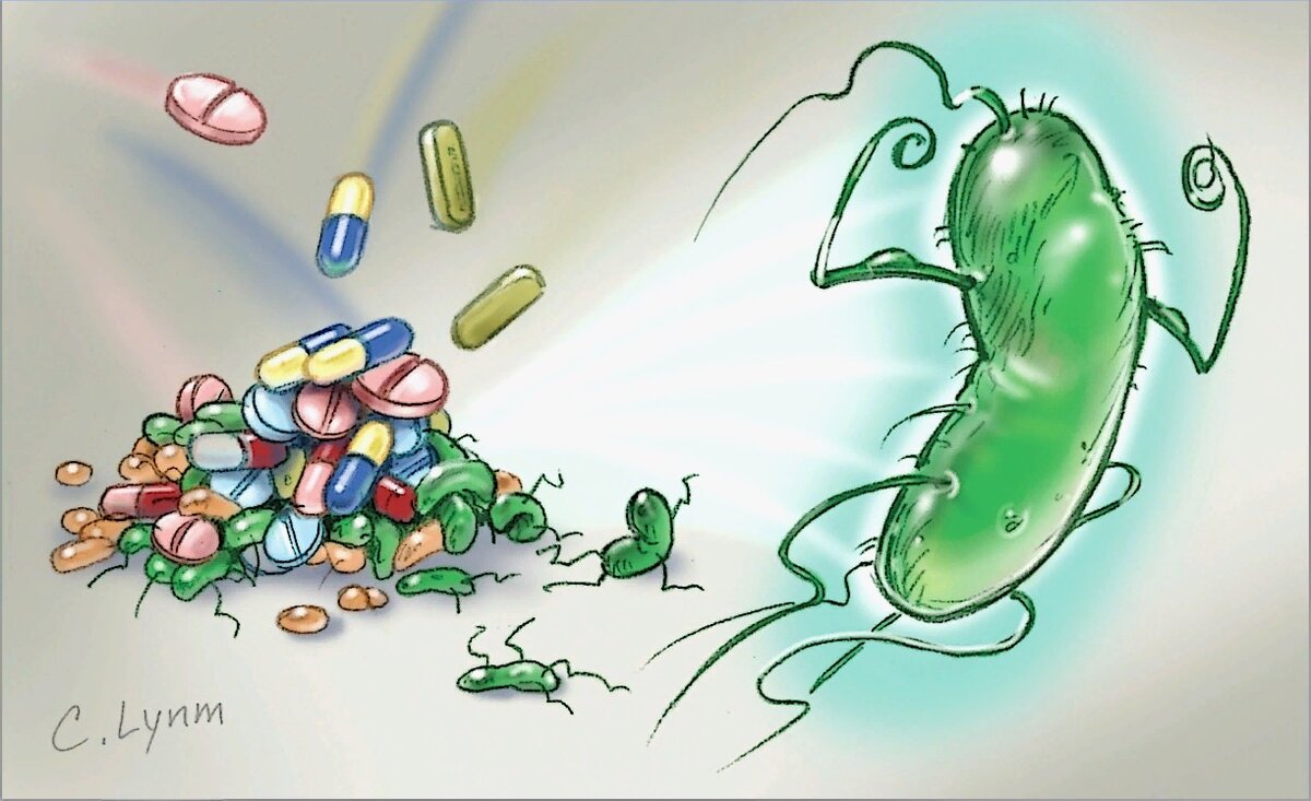 Средство дезинфицирующее септима спрей. Антибиотики убывает микробов. Средства убивающие микробов. Средства убивающие микробов. Септима дезинф.