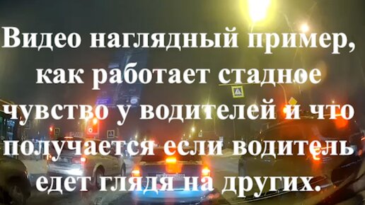 Видео наглядный пример, как работает стадное чувство у водителей и что получается если водитель едет глядя на других.