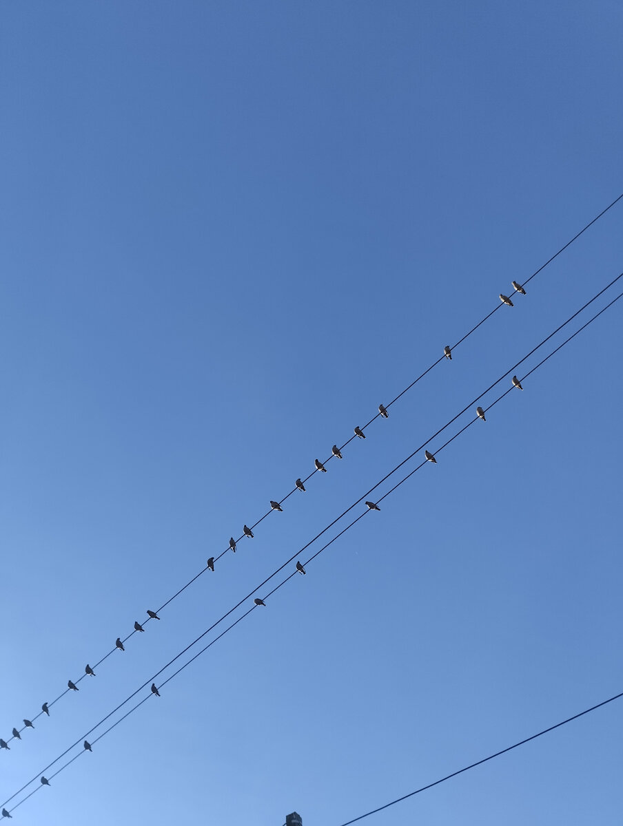 Фото автора.. 