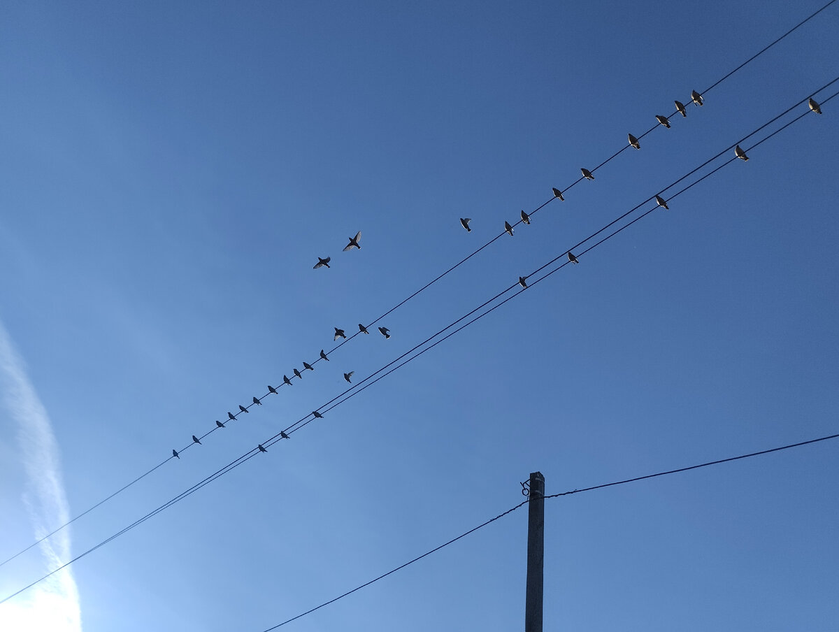 Чистого вам неба.. Фото автора.. 