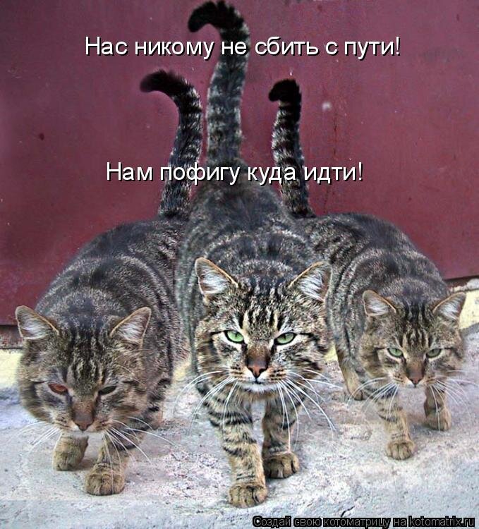 Вечное из свободных интернетов