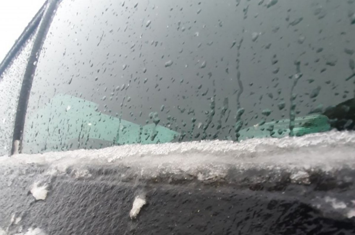    Снегопады сменятся дождями в Тверской области на следующей неделе