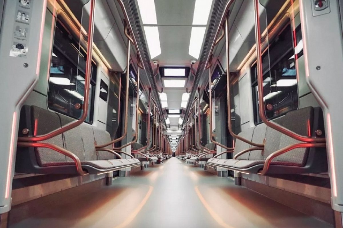    В московском метрополитене мужчина ударил ножом одного из пассажиров