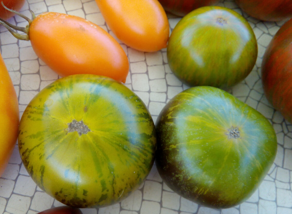 Зеленая богиня Занаду