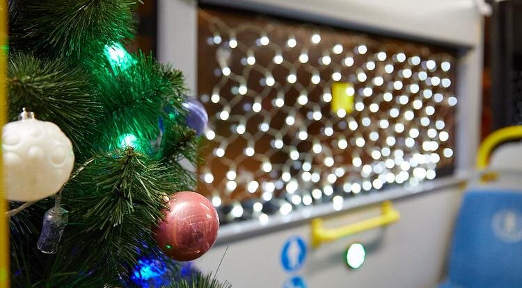 Фото: Елена Журавлёва