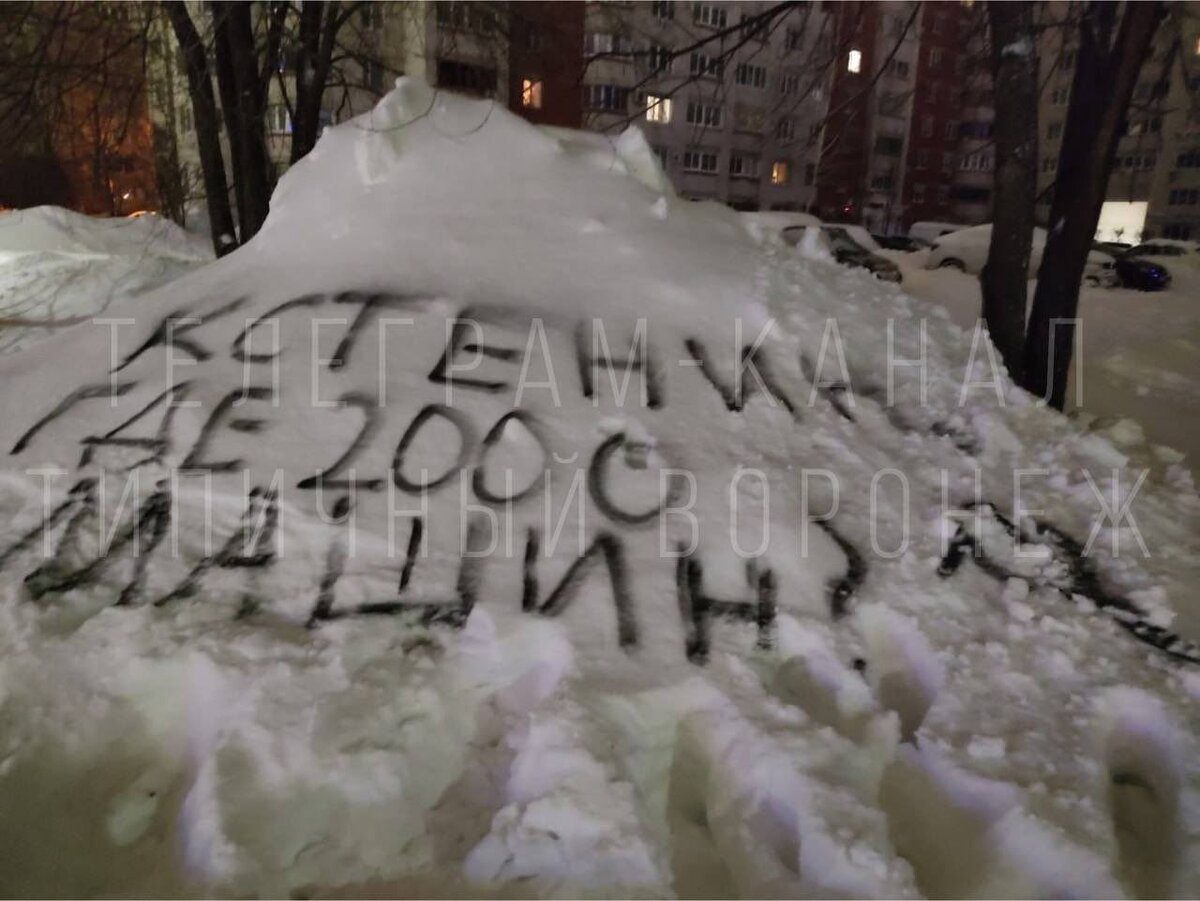 Фото с канала "Типичный Воронеж".